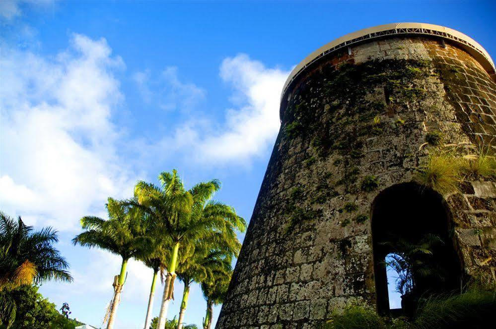 蒙彼利埃种植园和海滩度假村 Charlestown 外观 照片